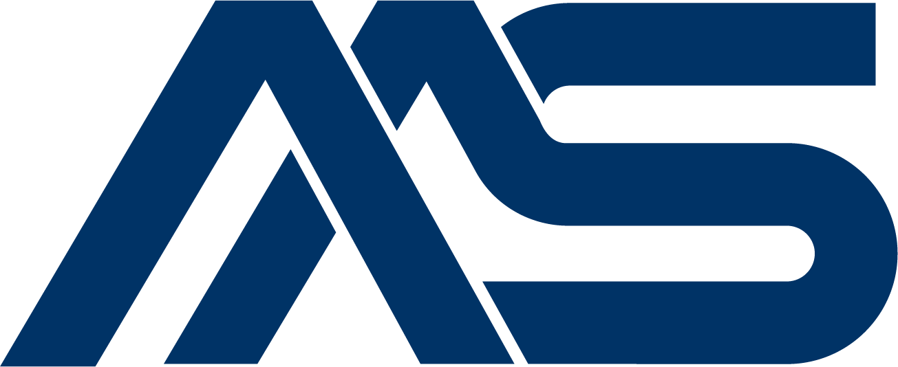 mengelkamp & schwarz IT GmbH